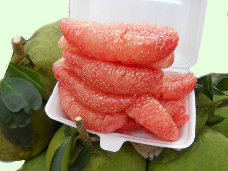 Những điều nên nhớ khi chăm sóc cây bưởi