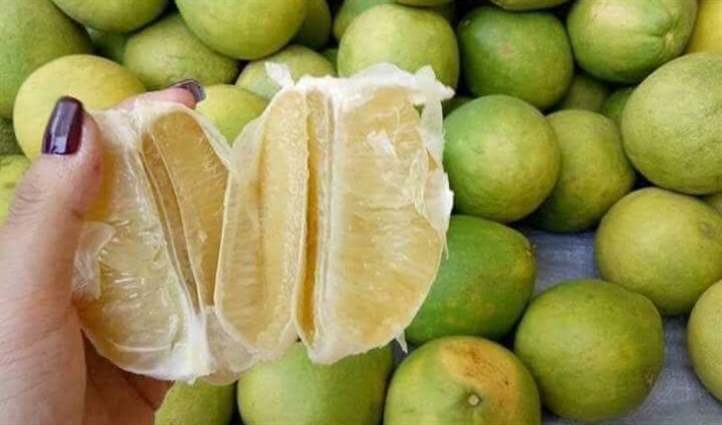 Khắc phục quả bưởi bị khô múi - Niên Giám Nông Nghiệp