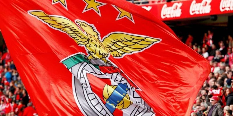 Quá trình thành lập Benfica và những tin tức nóng nhất